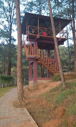 Orchid Lake Resort