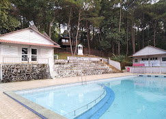 Orchid Lake Resort